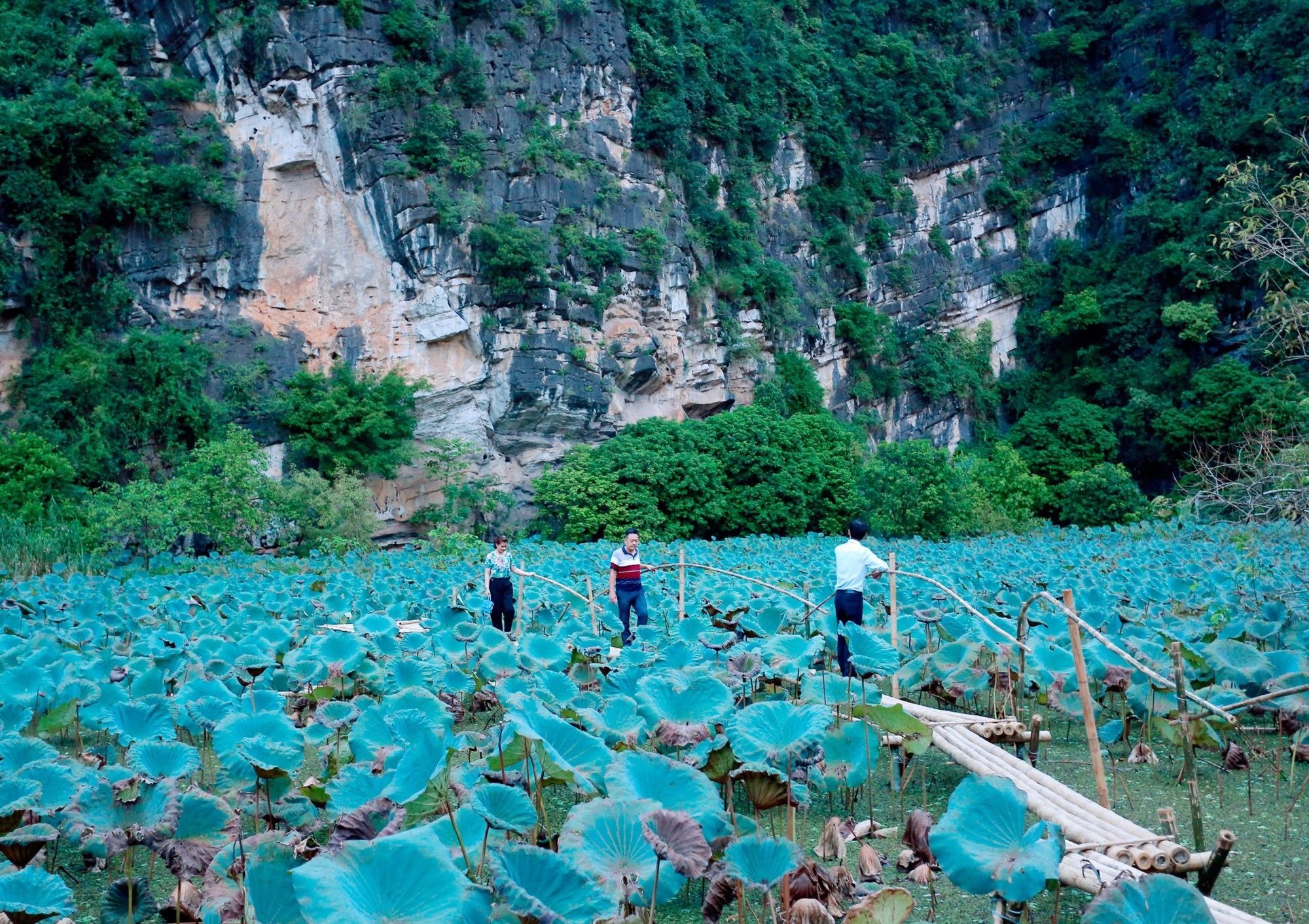 Trang An Heritage Garden Ninh Binh Bagian luar foto